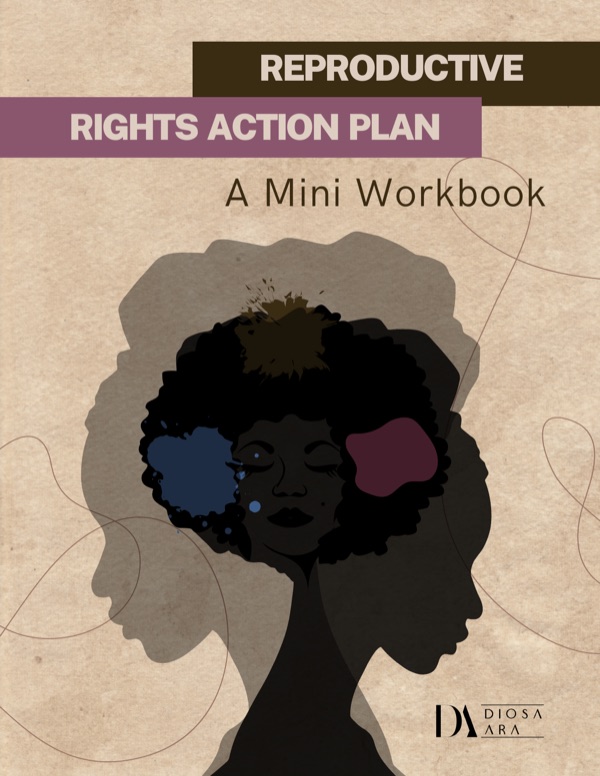 The Reproductive Rights Action Plan Workbook cover